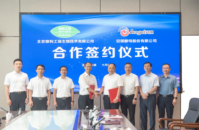 合成生物学产业落地新突破！国内最大PHA生产线启动建设