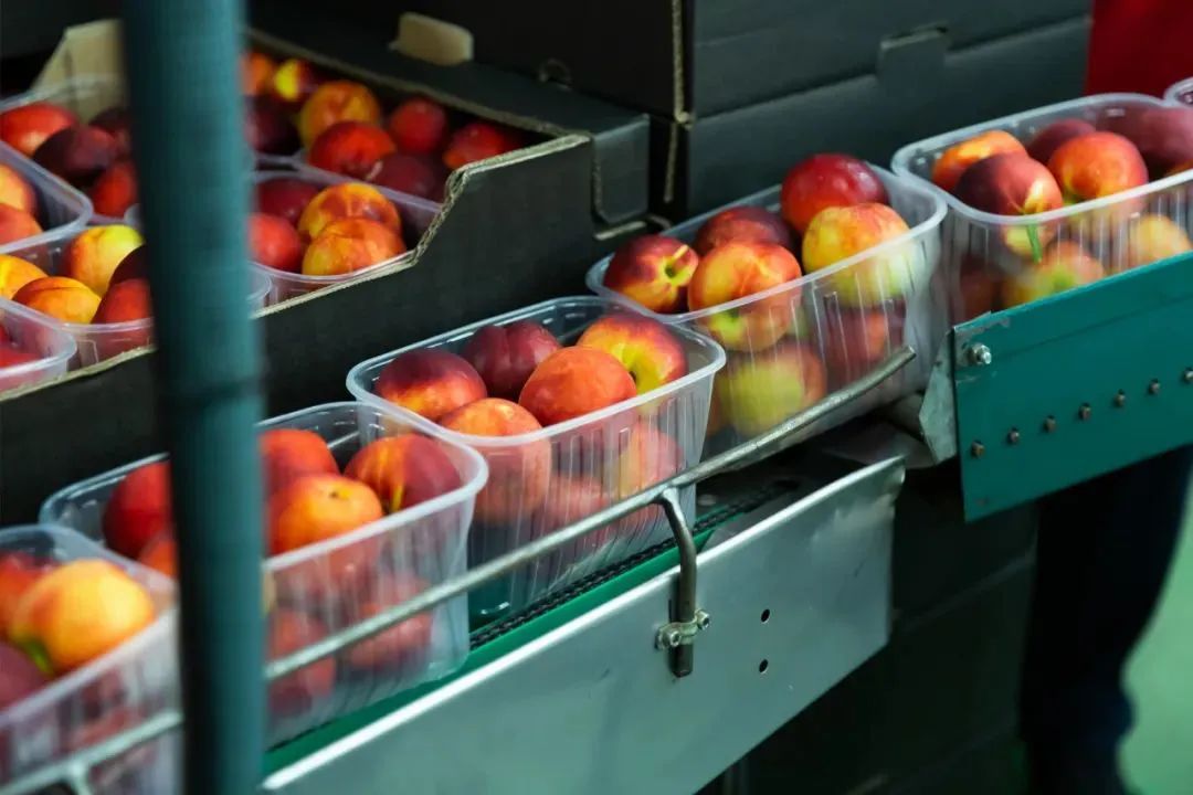 多城预制菜政策落地，冷链物流迎来这三大机遇