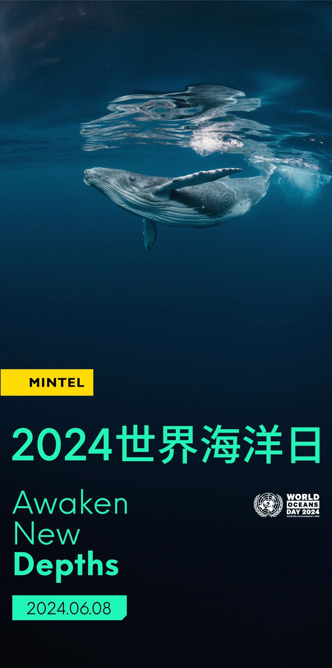 2024世界海洋日： 醒醒，该行动了！